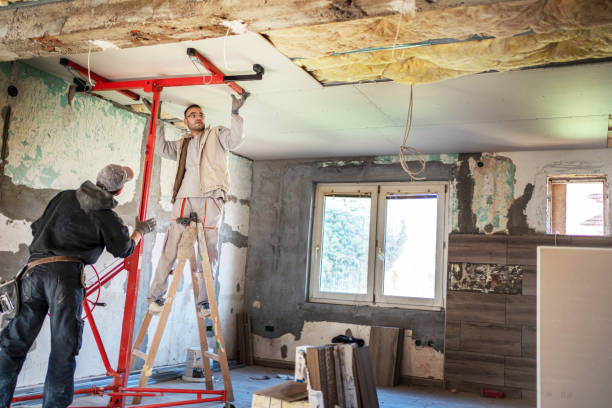 Best Insulation Maintenance and Repair in Lakewood, OH