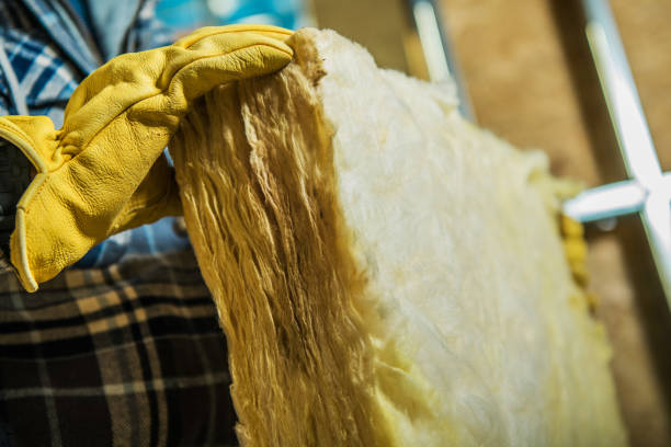 Best Specialized Insulation Services in Lakewood, OH